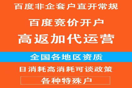 某品牌通过SEM优化实现品牌增长的故事